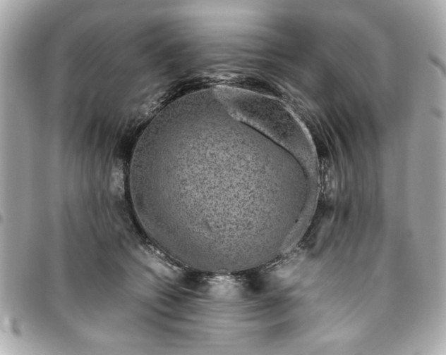 X0000096480562200802071922