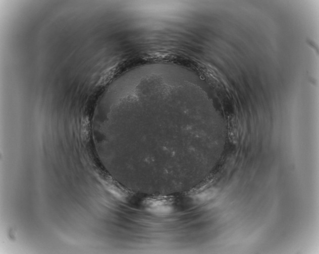 X0000096480563200802071922