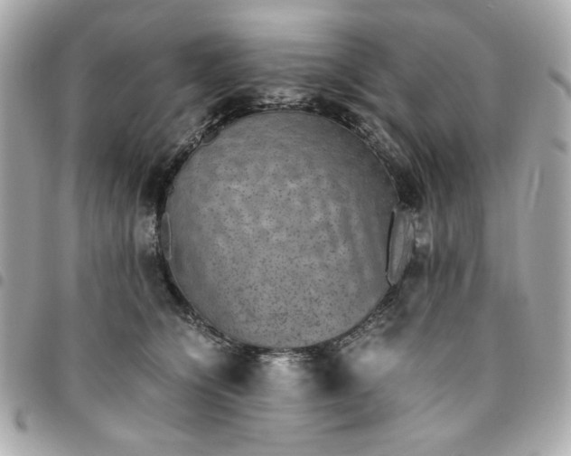 X0000096480564200802071922