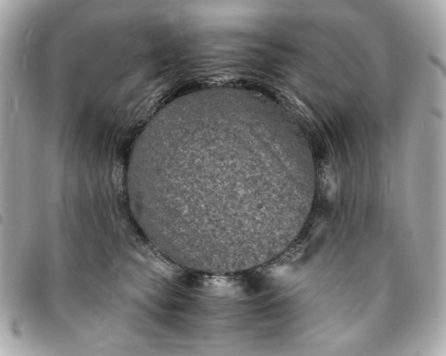 X0000096480565200802071923