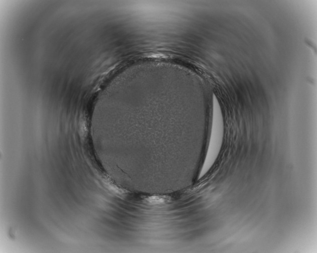 X0000096480566200802071923