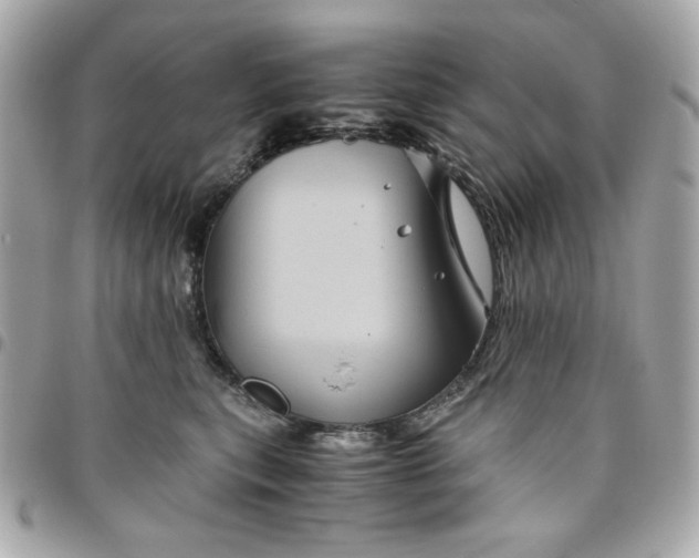 X0000096480567200802071923