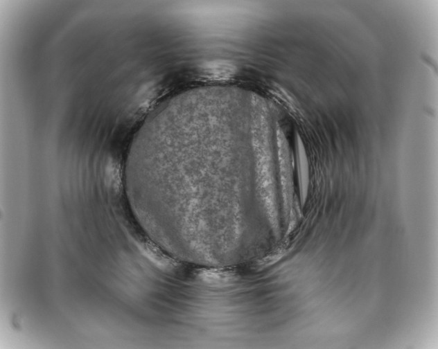 X0000096480568200802071923