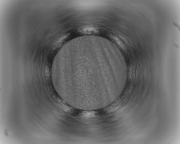 X0000096480569200802071923