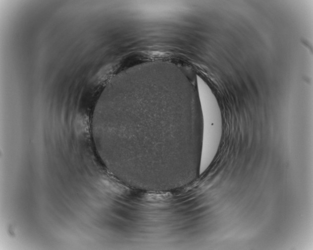 X0000096480571200802071923