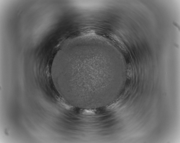 X0000096480573200802071923