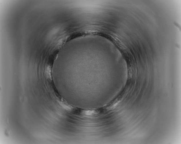 X0000096480575200802071923