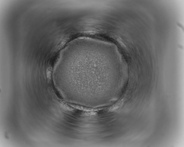 X0000096480576200802071923