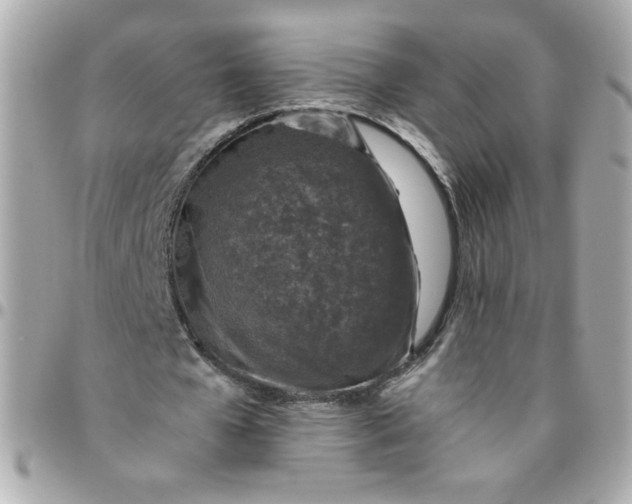 X0000096480577200802071922