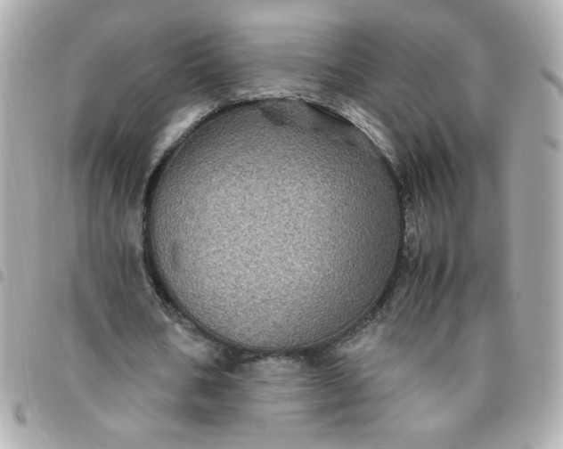 X0000096480578200802071922