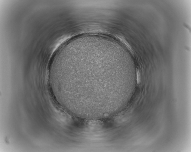 X0000096480579200802071922