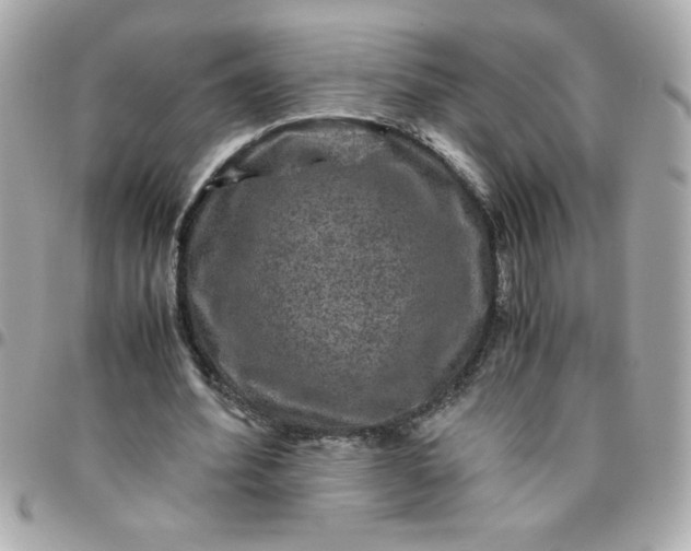 X0000096480580200802071922