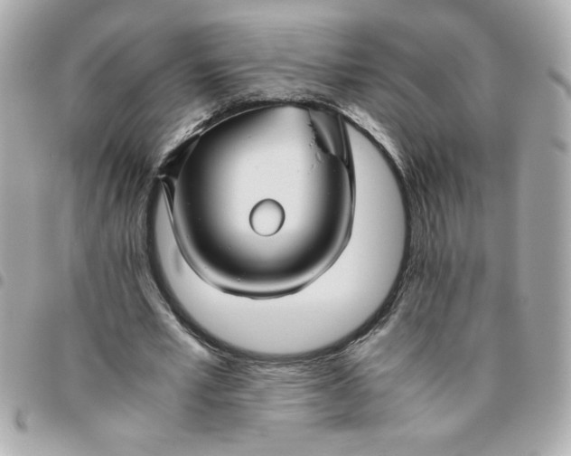 X0000096480581200802071922