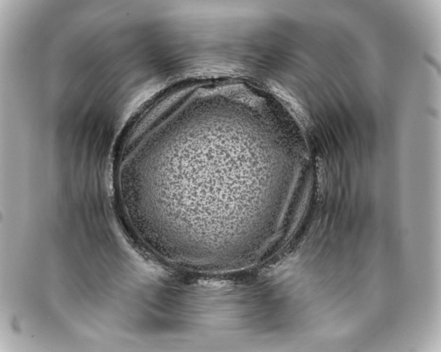 X0000096480582200802071922