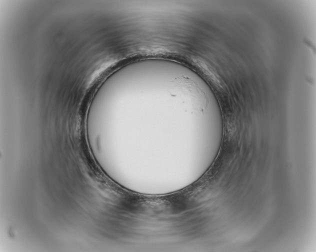 X0000096480583200802071922