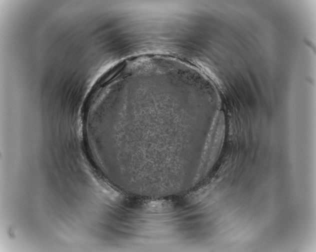 X0000096480584200802071922