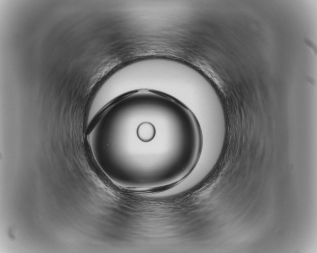 X0000096480585200802071922