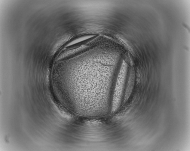 X0000096480586200802071922