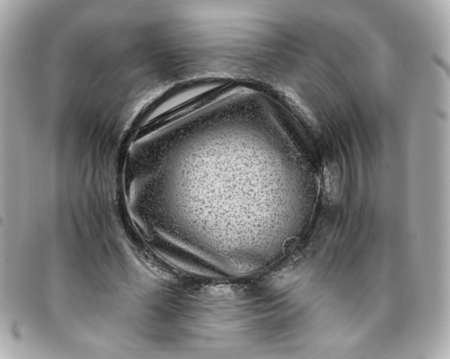 X0000096480588200802071922