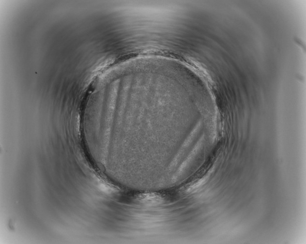 X0000096480589200802071922