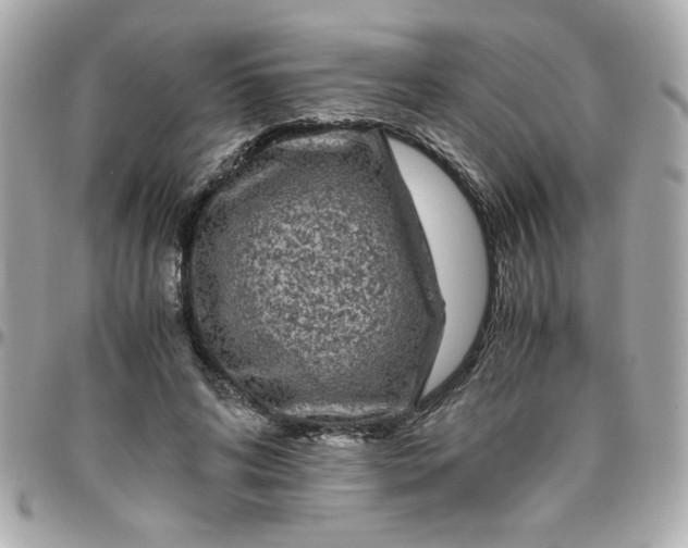 X0000096480592200802071922