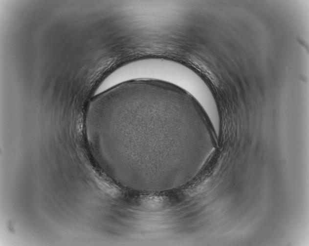 X0000096480593200802071922