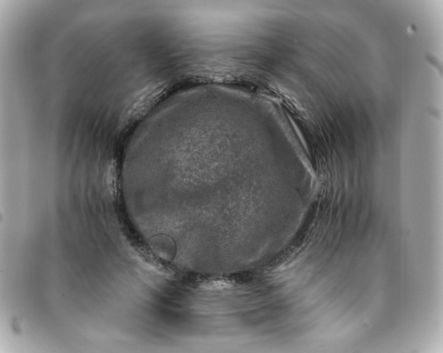 X0000096480594200802071922