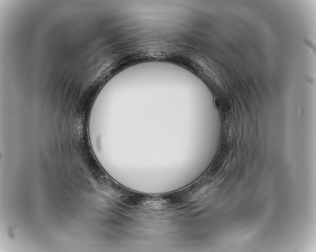 X0000096480595200802071922