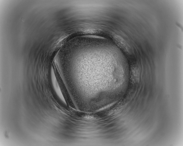 X0000096480596200802071922