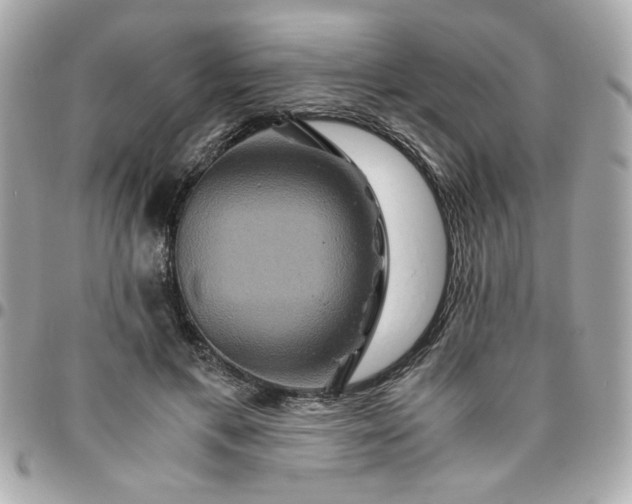 X0000096480597200802071922