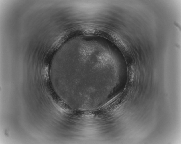 X0000096480598200802071922