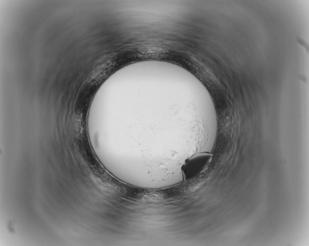 X0000096480599200802071922