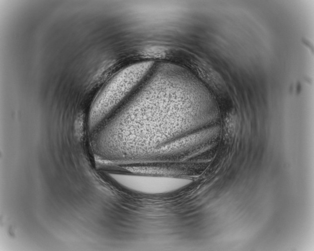 X0000096480600200802071922