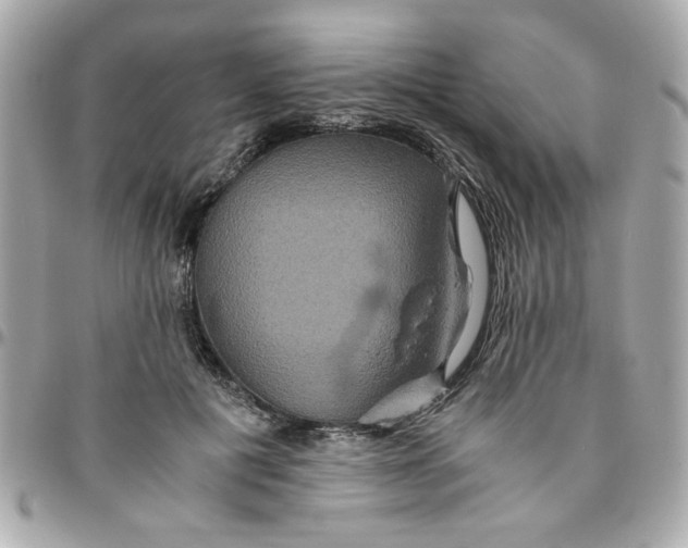 X0000096480601200802071922