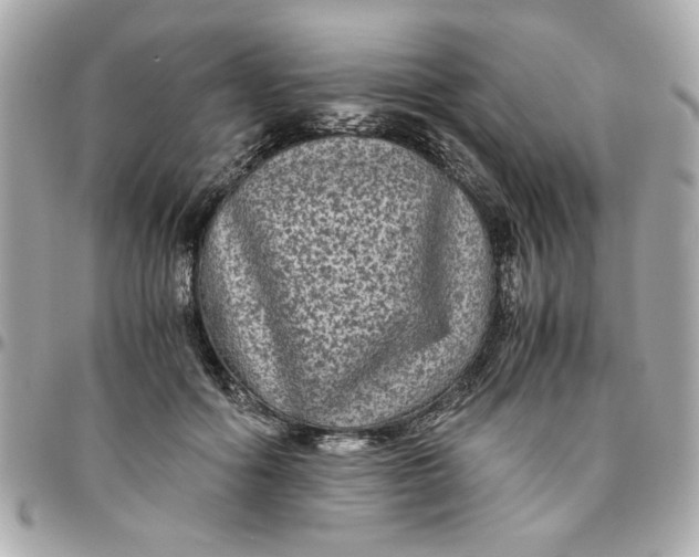 X0000096480602200802071921