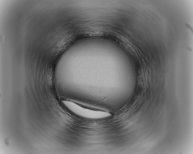 X0000096480604200802071921