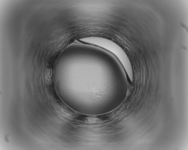 X0000096480605200802071921