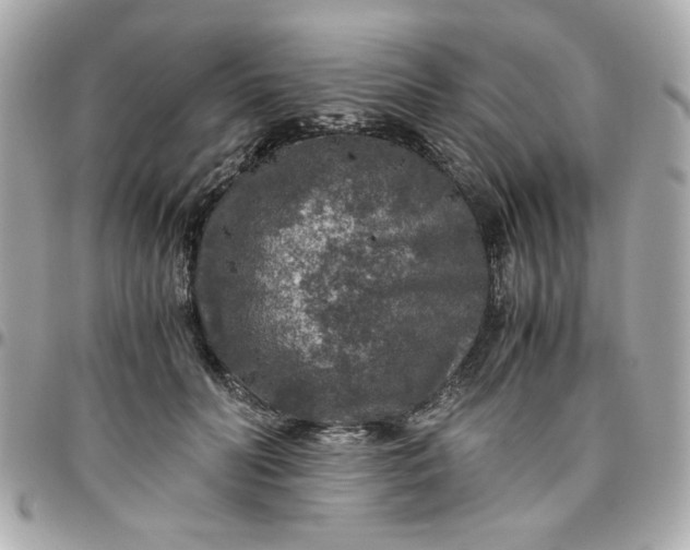 X0000096480606200802071921