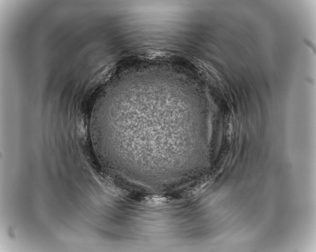 X0000096480607200802071921