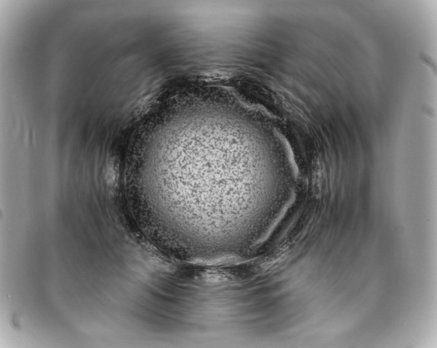 X0000096480608200802071921