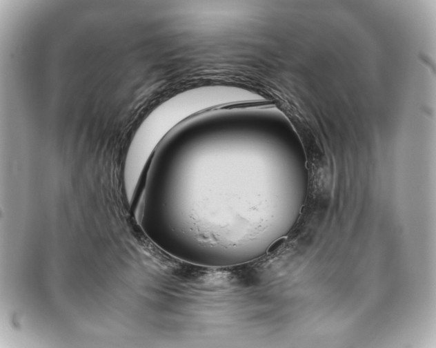 X0000096480609200802071921