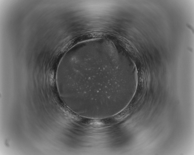 X0000096480610200802071921