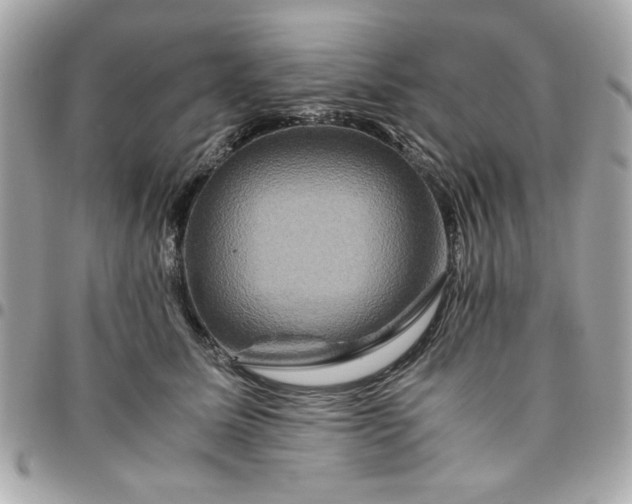 X0000096480611200802071921