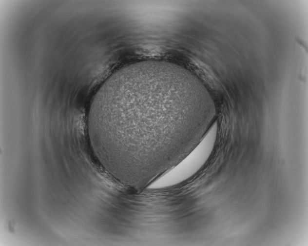 X0000096480612200802071921