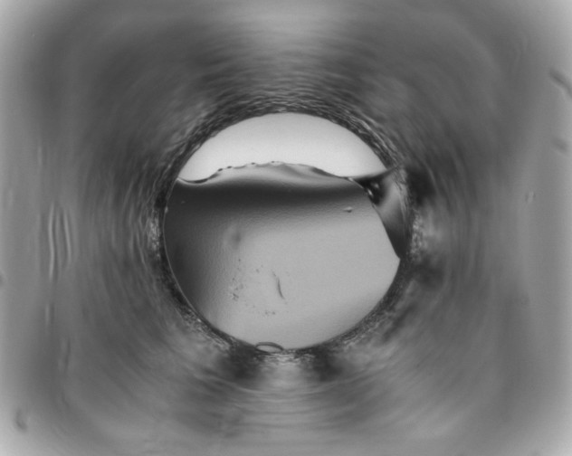 X0000096480613200802071921