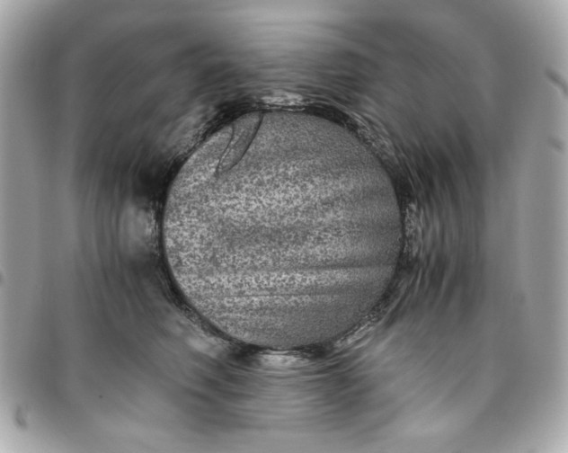 X0000096480614200802071921