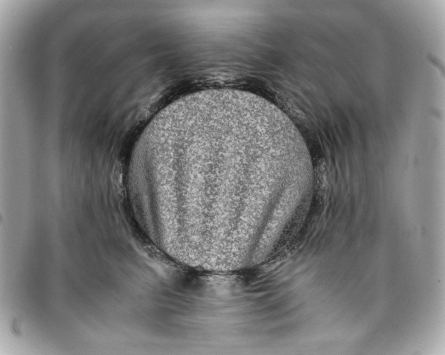 X0000096480615200802071921