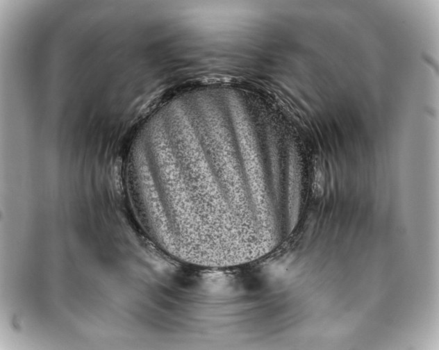 X0000096480616200802071921