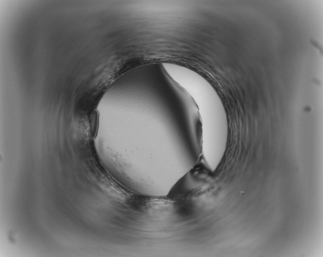 X0000096480617200802071921