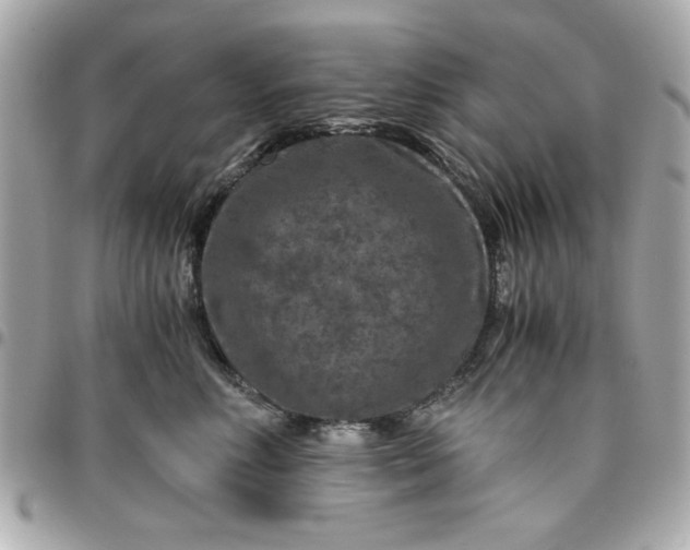 X0000096480618200802071921